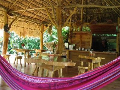Hotel Blue Conga Puerto Viejo de Talamanca Exteriér fotografie