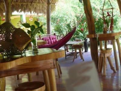 Hotel Blue Conga Puerto Viejo de Talamanca Exteriér fotografie
